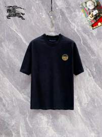 Picture of Burberry T Shirts Short _SKUBurberryS-5XL25tr2619691